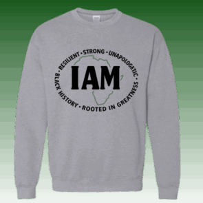 UAD - GVO Highlight (3)