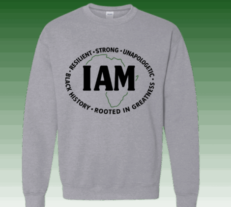 UAD - GVO Highlight (3)