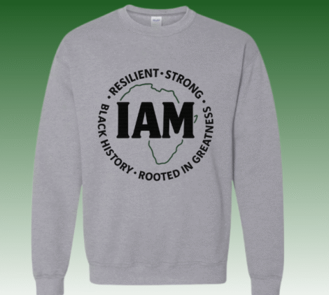 UAD - GVO Highlight (4)