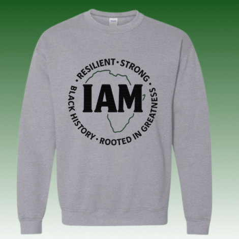 UAD - GVO Highlight (4)